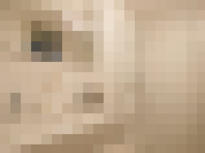  / #12