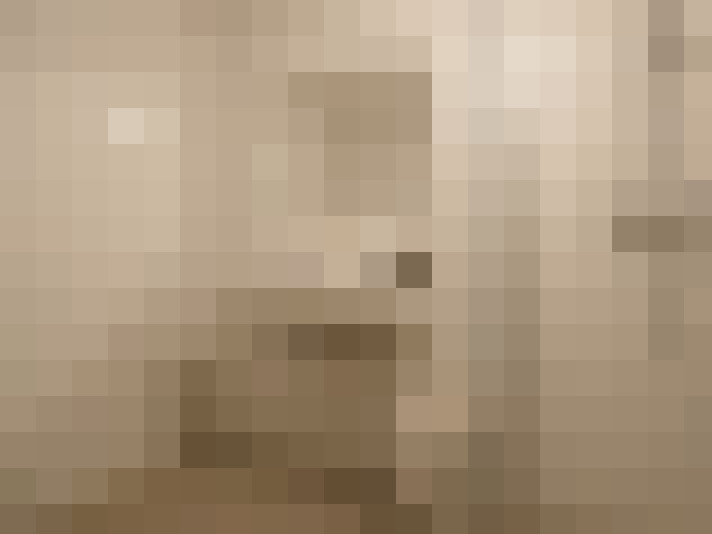  / #14