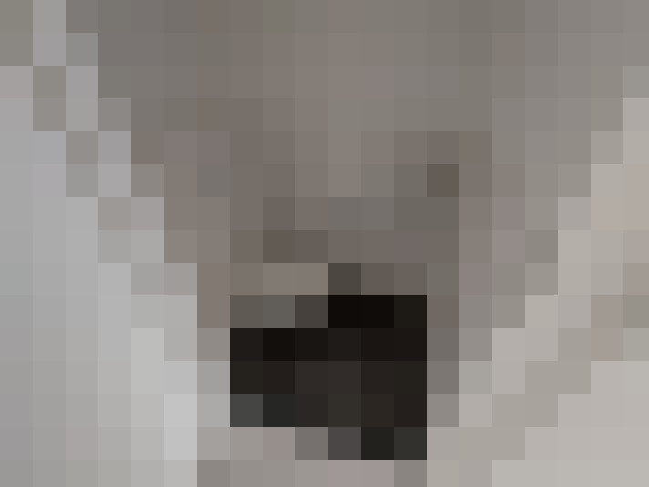  / #8