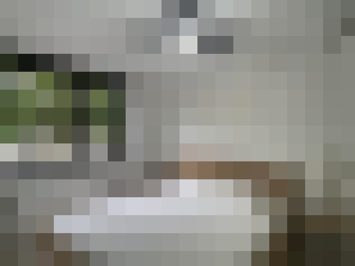  / #21