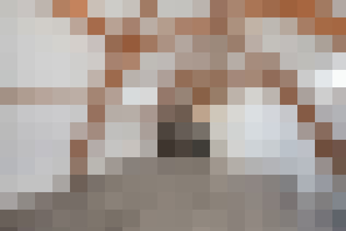  / #11