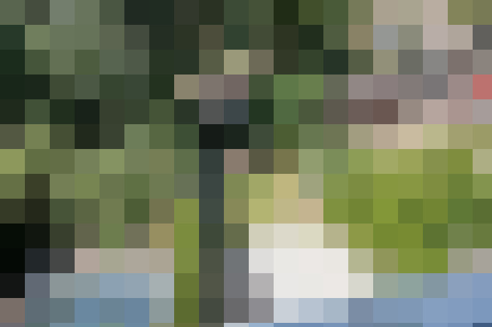  / #68