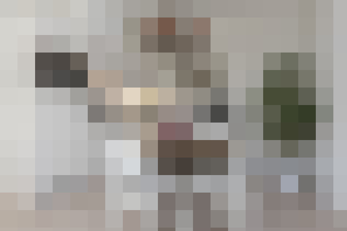  / #19