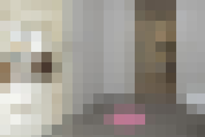  / #21