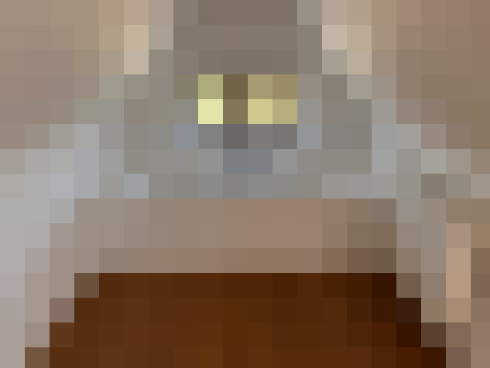  / #14