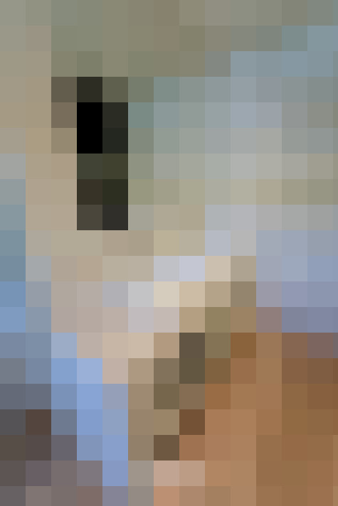  / #13