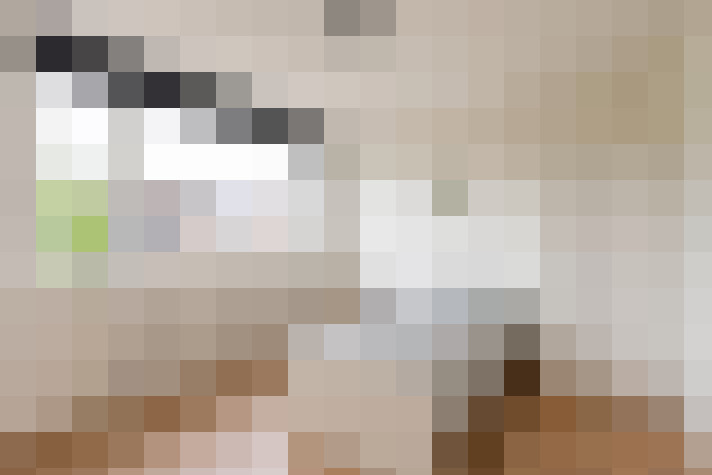  / #16