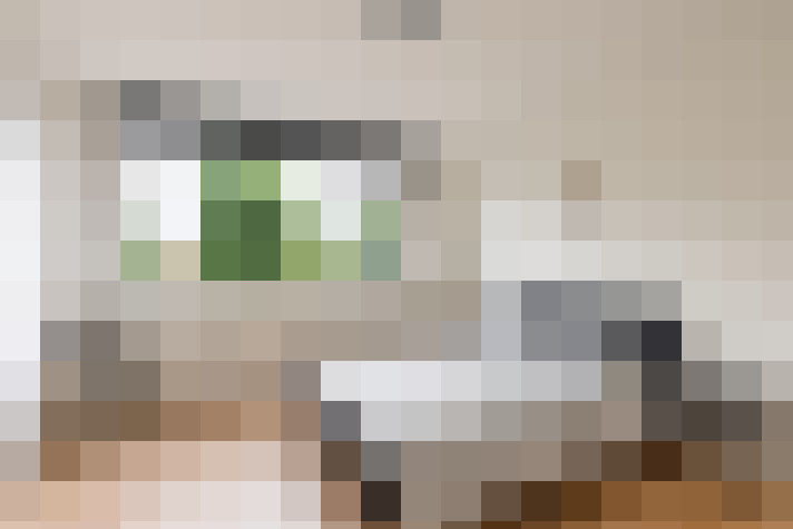  / #14