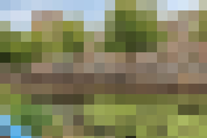  / #16