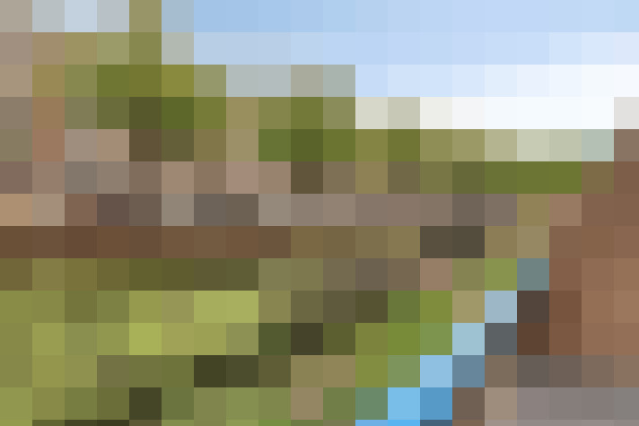  / #15