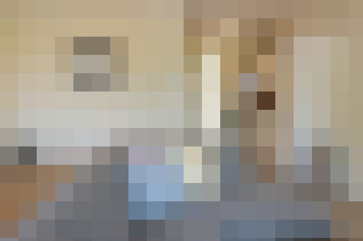  / #8