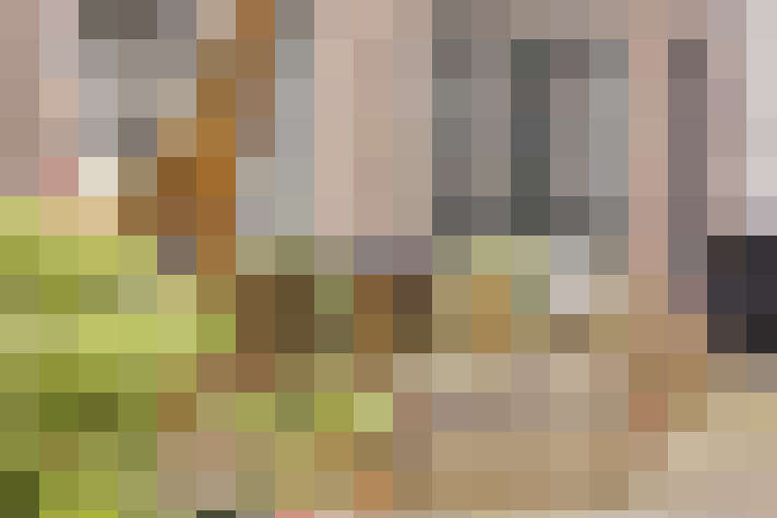  / #24