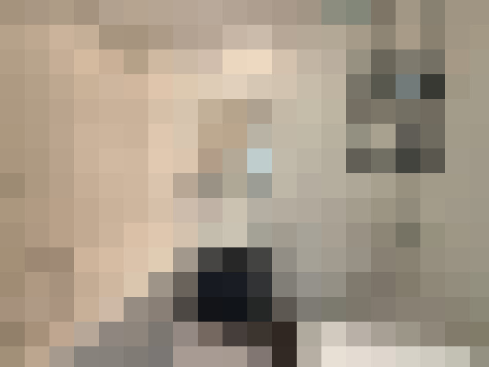  / #17