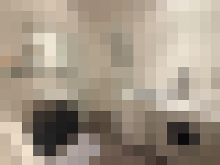  / #19
