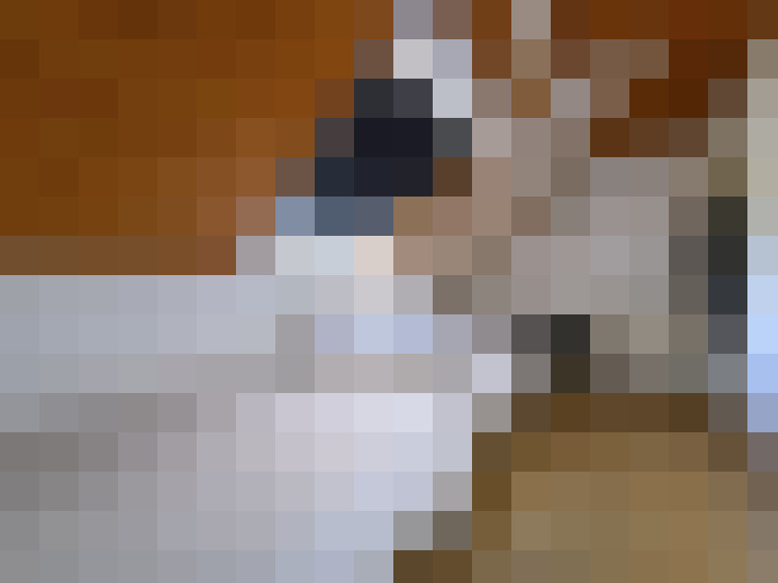  / #6