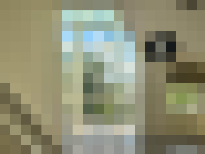  / #11