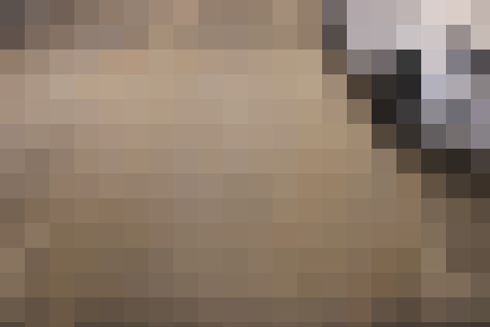  / #16