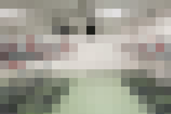  / #13