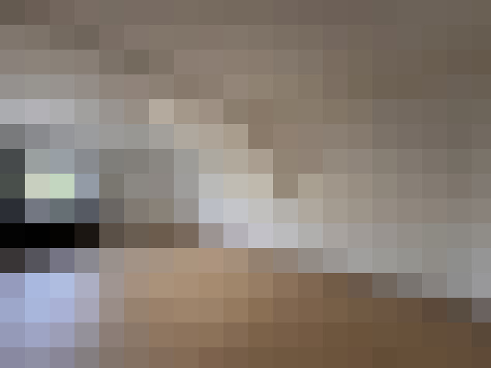  / #31