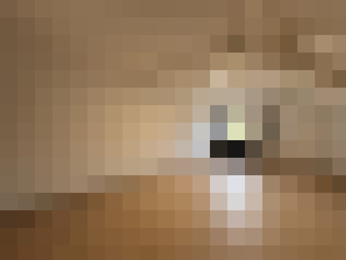  / #26