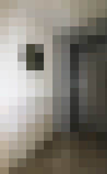  / #17