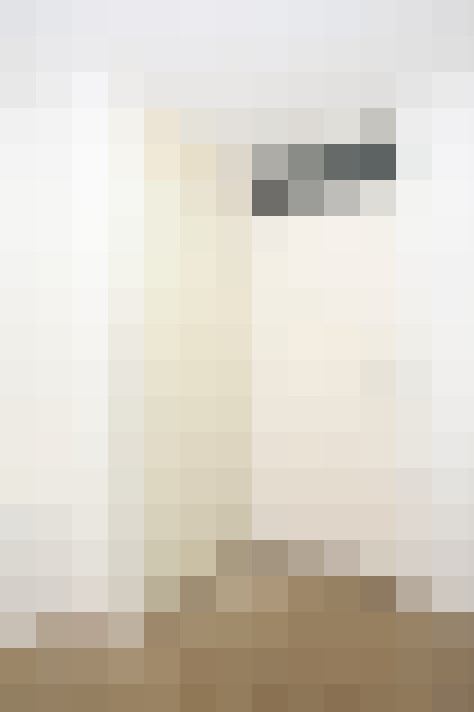  / #11