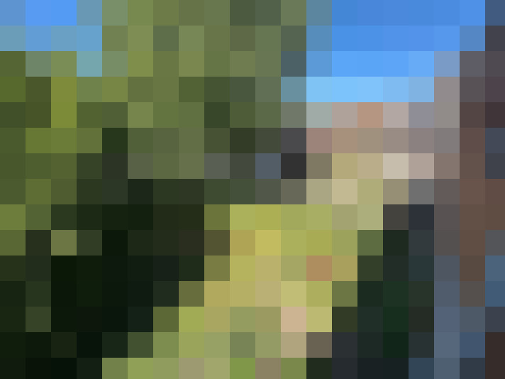  / #14