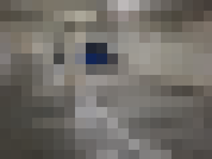  / #17