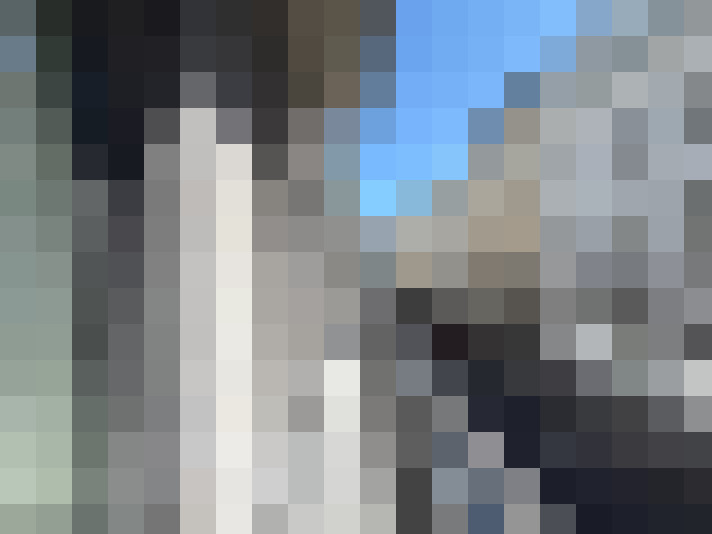  / #8