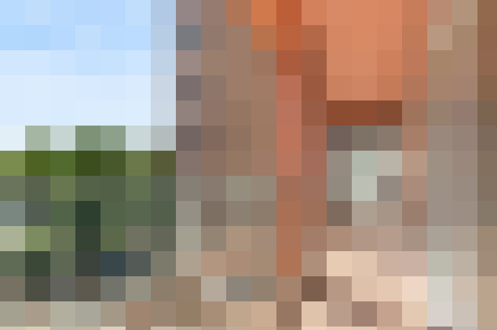 / #14
