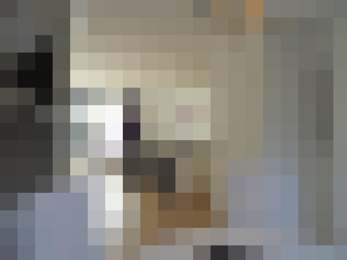  / #9