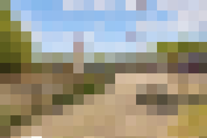  / #58