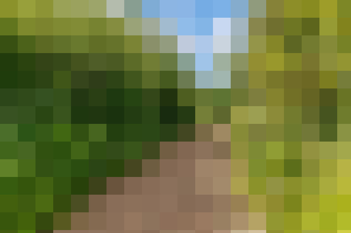  / #53