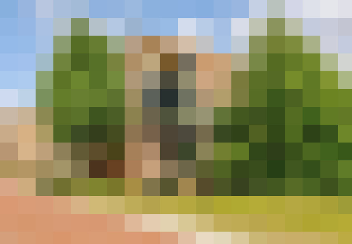  / #51