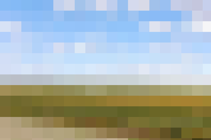  / #57
