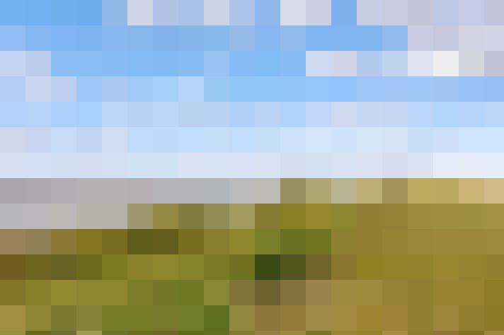  / #56