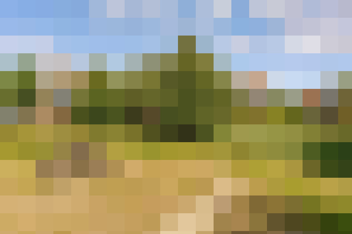  / #52