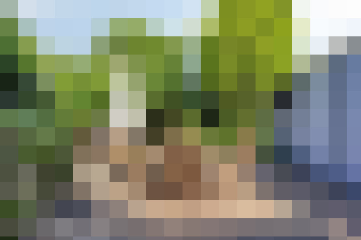  / #18