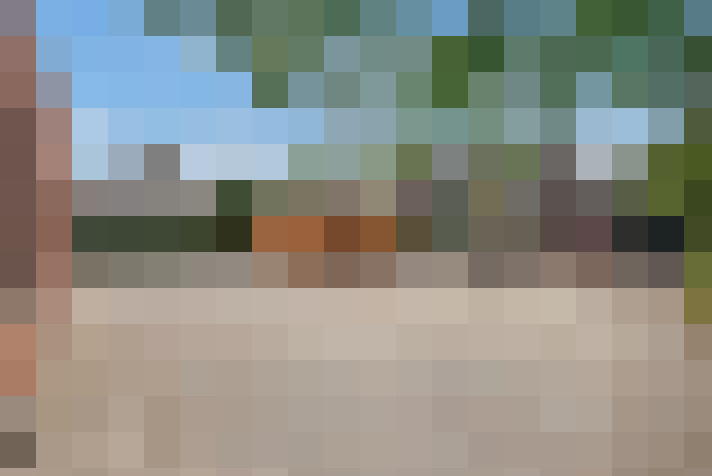  / #19