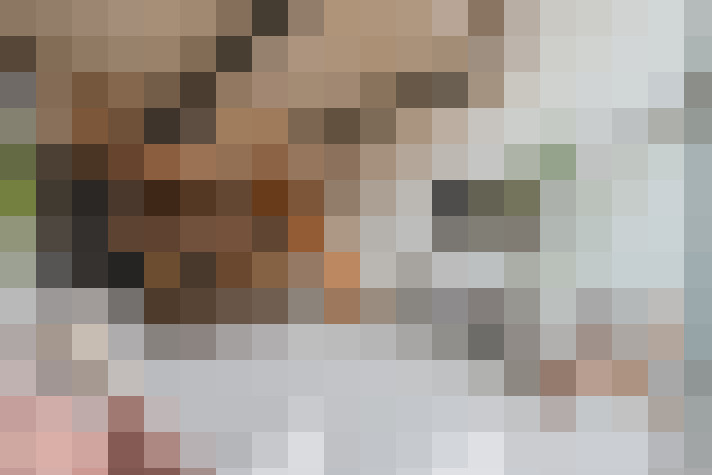  / #14