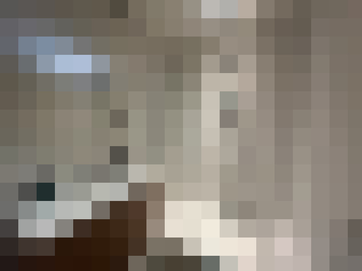  / #15