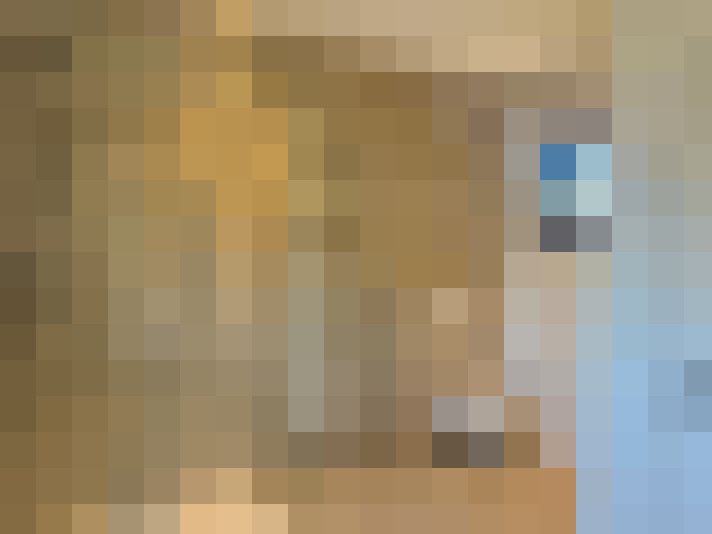  / #13
