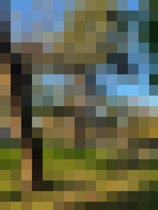  / #8