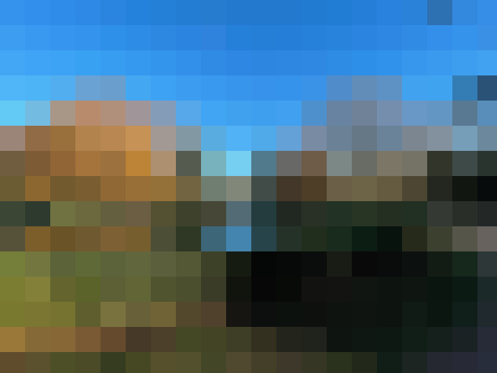  / #7