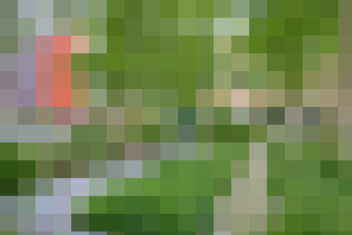  / #20