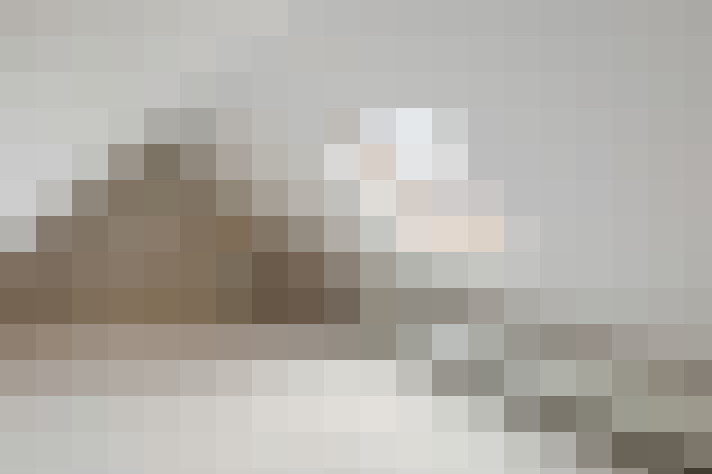  / #26
