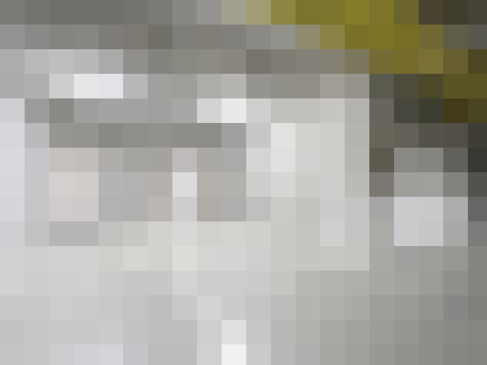  / #19