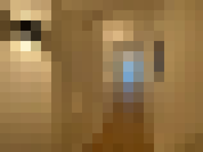  / #12