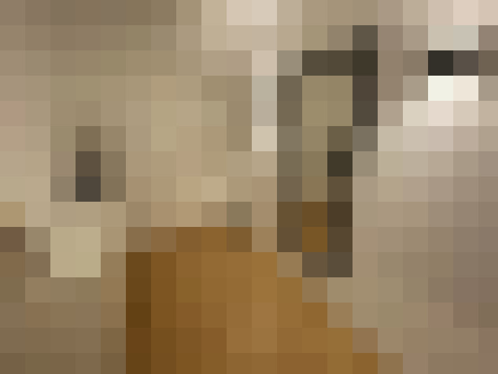  / #13