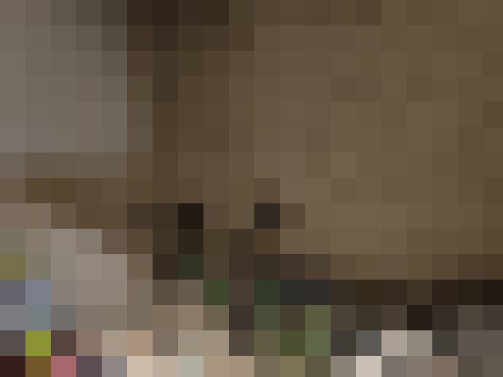  / #16
